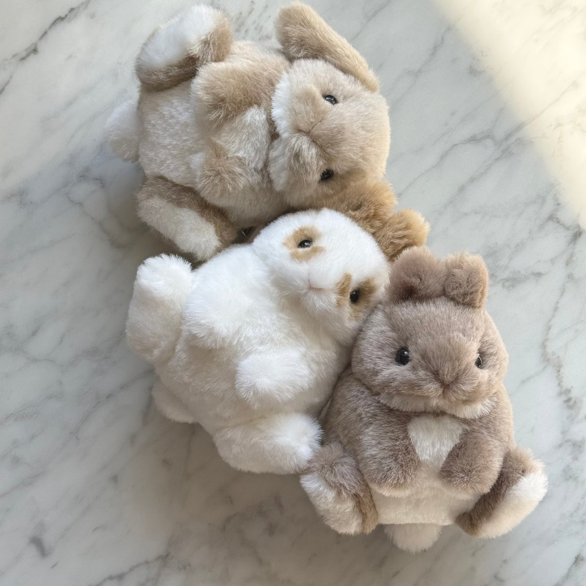 出展名：Bonita Rabbits 出展日：5/23,24両日 ブース番号：西館4階N