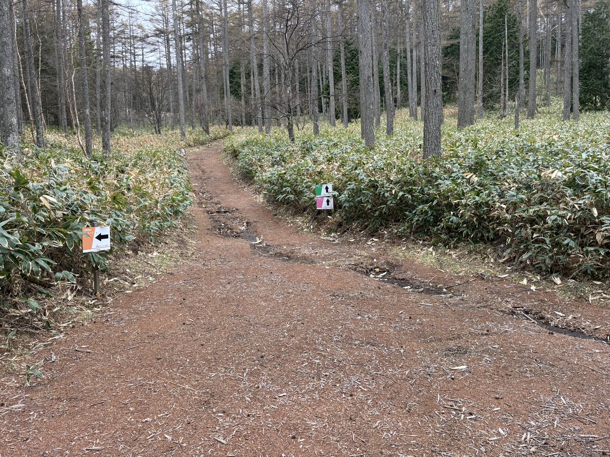 matsu243ch's tweet photo. 湯の丸高原30kmクロカン。
標高1700mの上りは阿蘇並みにハードでしたが、凹凸のある路面を走ると時間はあっという間で最高の脚作りができました。

練習後はアトリエ・ド・フロマージュ本店へ。ブルーチーズの概念が変わるほどの濃厚さに感動でした！

友人へお礼が言えるように、
最善を尽くします！ https://t.co/SJNulRkWE2