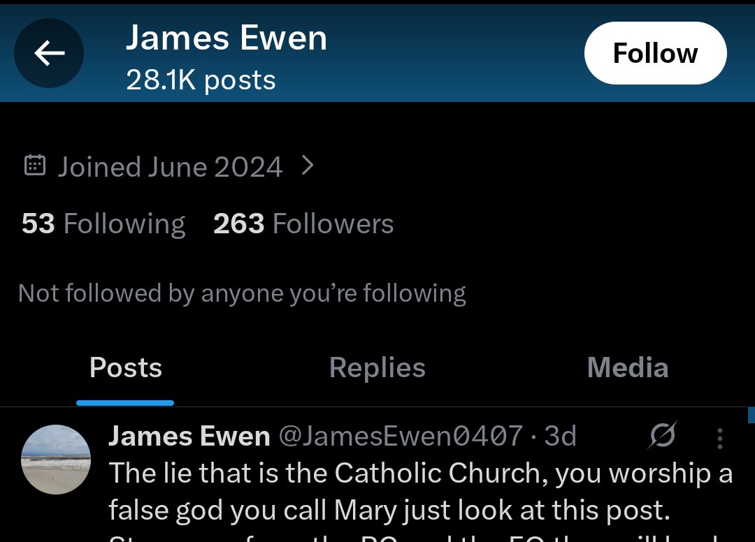 FCheck503's tweet photo. @JamesEwen0407 @deusimpera 28,000 slanderous anti-Catholic posts in under 2 years. Please seek help. https://t.co/FdRQkmZcRC