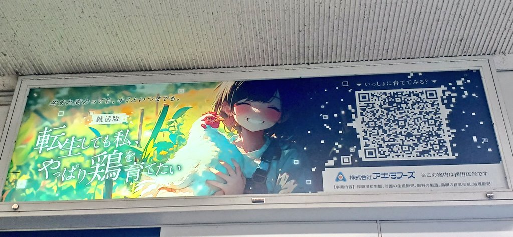 古庄拓(ふるしょうたく) tweet media