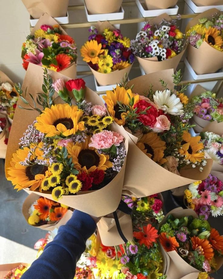 Soft Petals tweet media