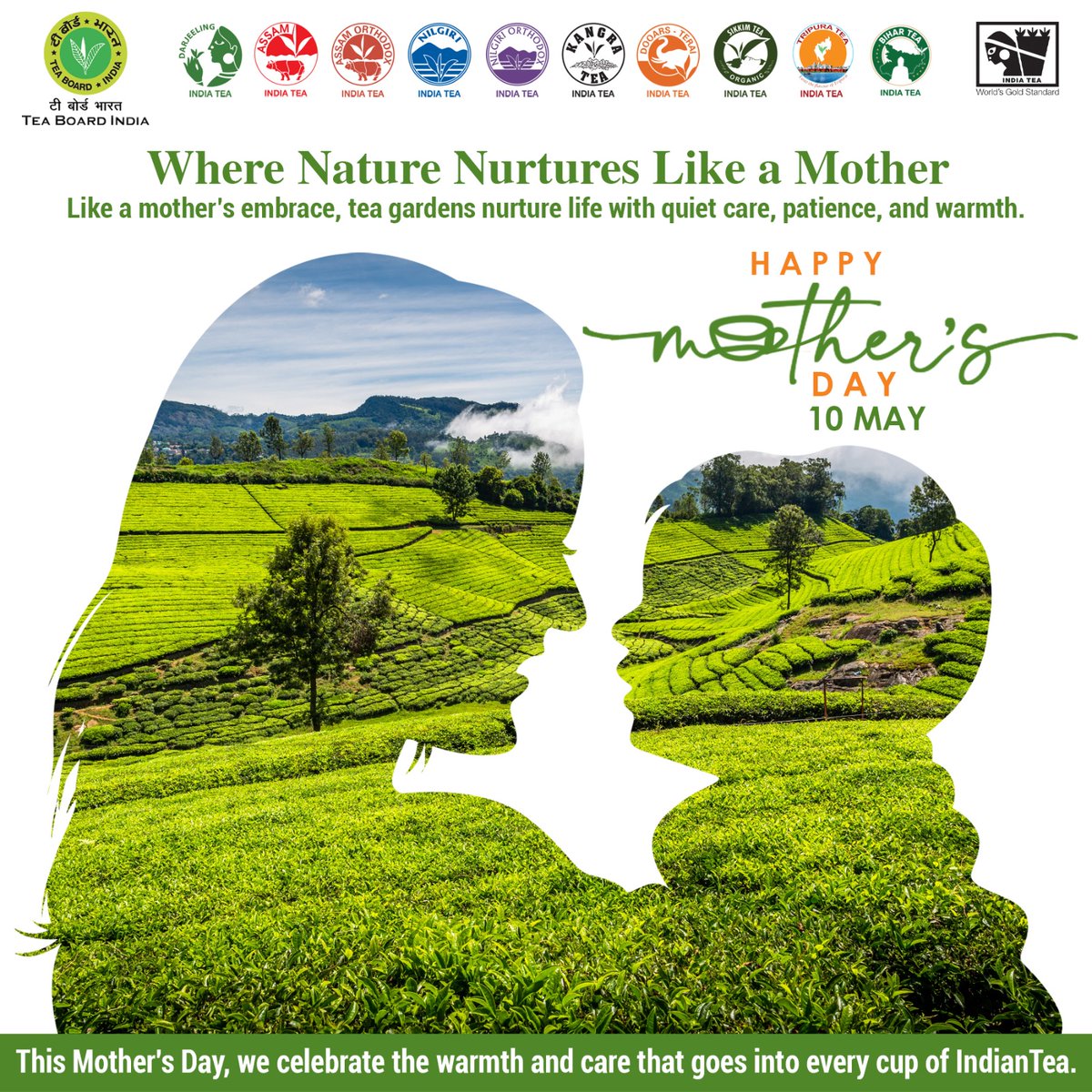 teaboardofindia's tweet photo. Rooted in care. Grown with love.
Just like every cup of Indian tea… and every mother’s embrace. 🌱☕
#MothersDay #MothersDay2026 #IndiaTea #IndianTeaLove #IndiaTeaAndMe https://t.co/kKHPzfi0oO
