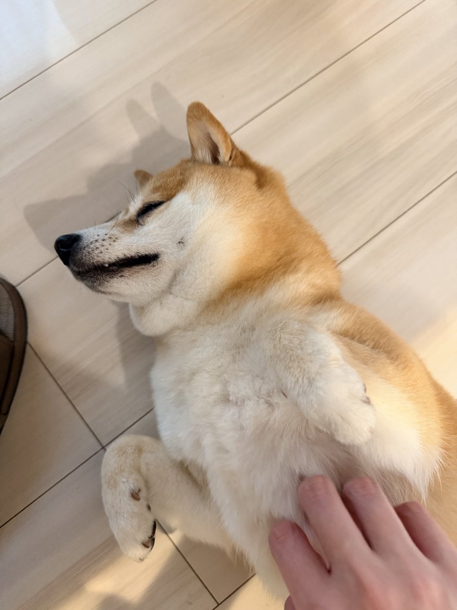 らっだぁのさぶ tweet media