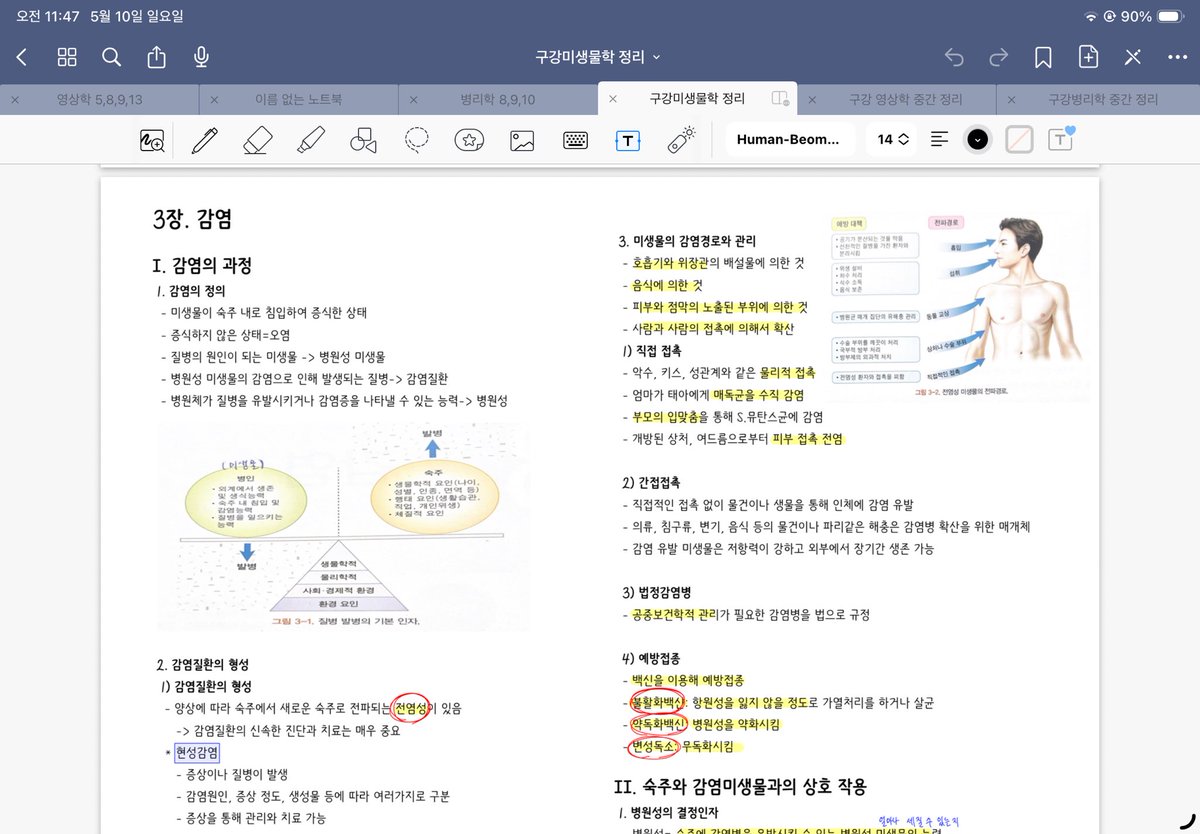 우니 tweet media