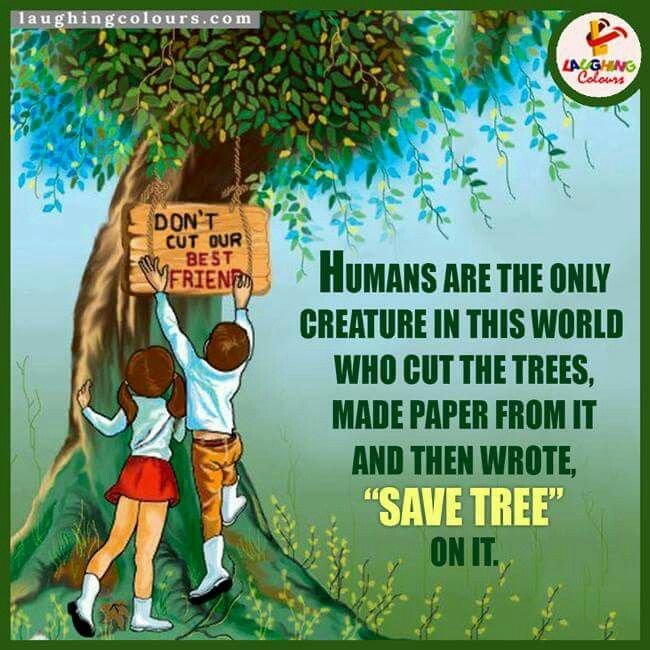 DeepaSa76110387's tweet photo. "Cut the greed, not the green! ✂️🌳 We need more oxygen and less pollution. Start planting! 🌲💚#SaveTrees #NatureLovers #KeepEarthGreen" https://t.co/f8GVE0VZZH
