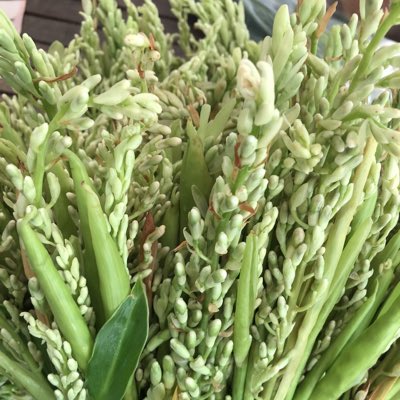 honeyorapim's tweet photo. #NewProfilePic https://t.co/abwLpHMIs3