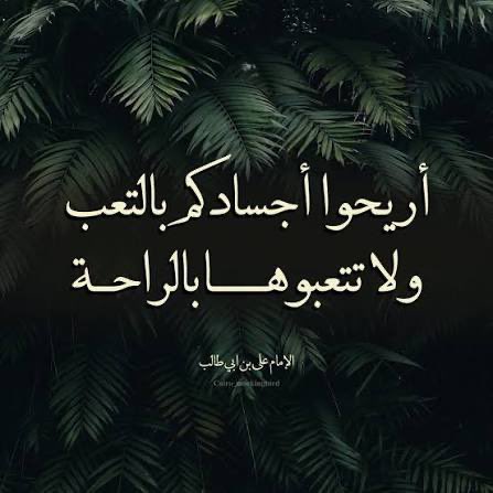 لينا tweet media
