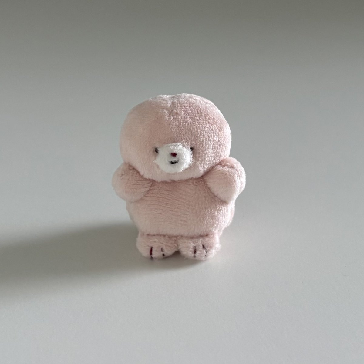 kabocco_nui's tweet photo. 本日5月10日（日）14:00～こちらminneにてお待ちしております🦭🌸 https://t.co/I2KAaiCcb4