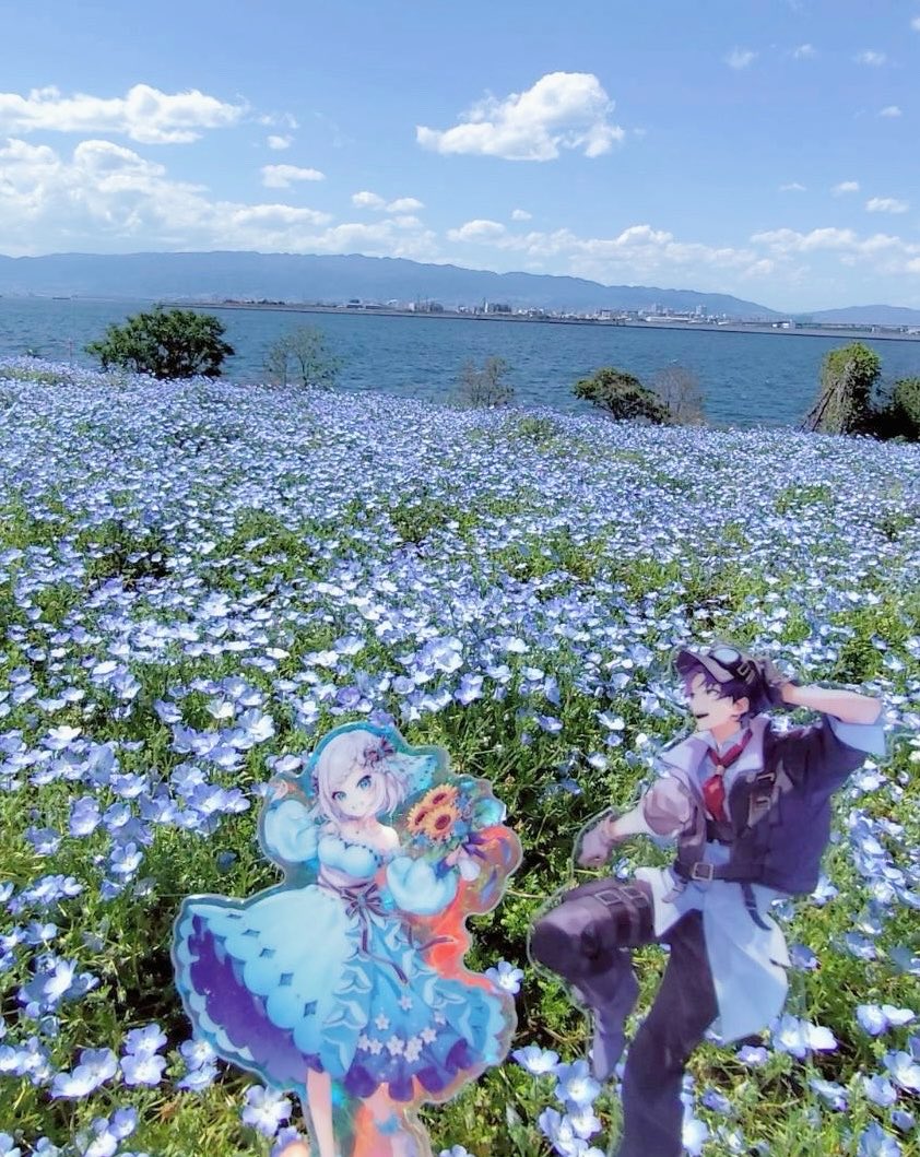Ua_mrp2's tweet photo. ネモフィラ見てきた～🌟🎶
見ごろはすぎたけどそれでも一面青でほんと～に綺麗だったᴖ  ̫ ᴖ

 #アルスこれみて https://t.co/k6Io1Gb0rR