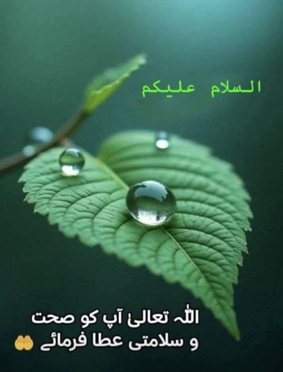 ملک صاحبہ tweet media