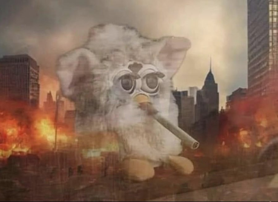 FreshPinochet tweet media