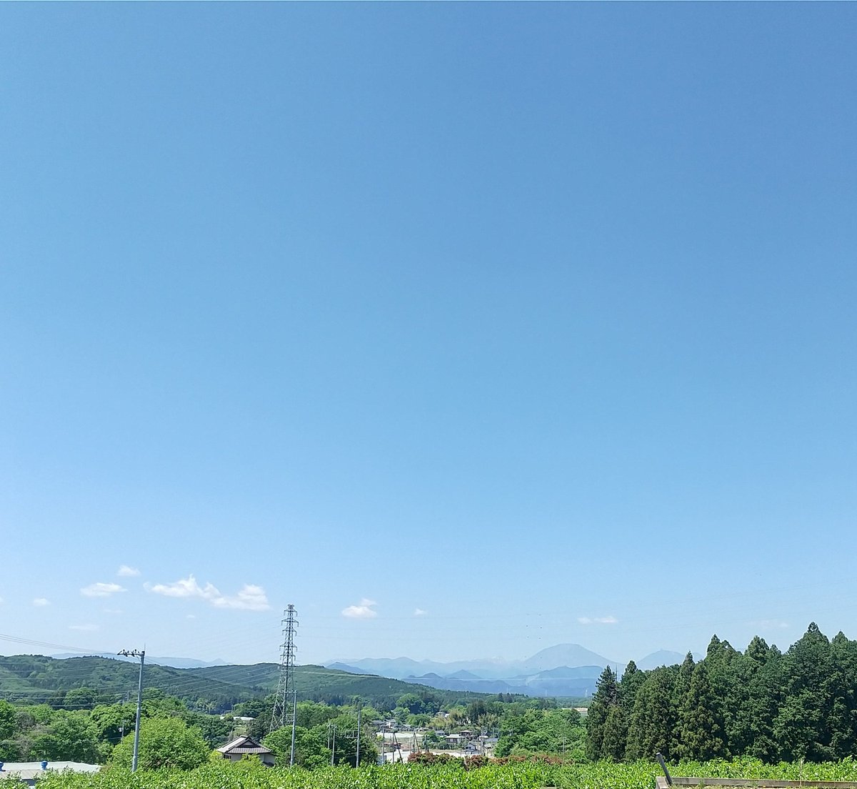 シエロ・ペレス tweet media