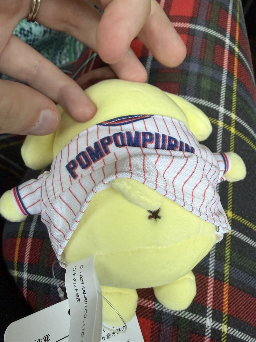 ScottieMaeR's tweet photo. When I was in Japan, I bought the very last Hello Kitty Tokyo Yakult Swallows plush keychain, but they were sold out of my favorite Pompompurin. I found a personal shopper who got him for me! I’m happy to have him, he is so cute. And he looks great with my other Swallows stuff!☂️ https://t.co/7ixme2g97V