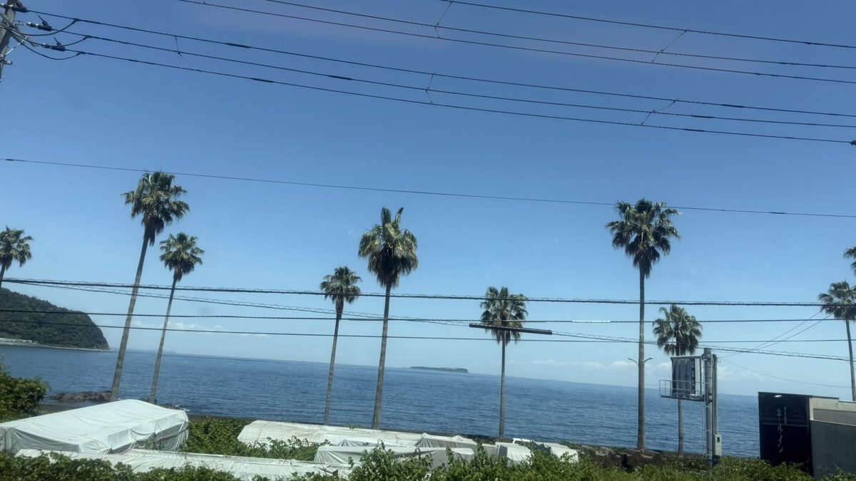 加藤愛梨 tweet media