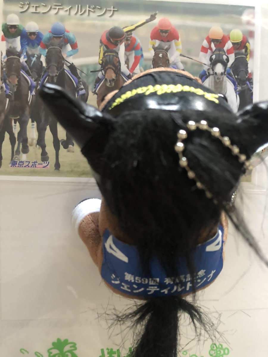 ジェンティルドンナの写真欲しいですって言おうとしたらありましたが