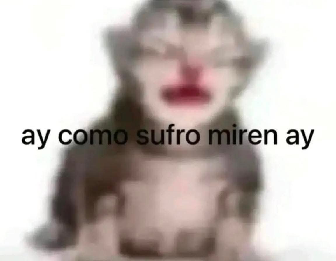 NoSoyCholo's tweet photo. https://t.co/3t8EEB4Gz6