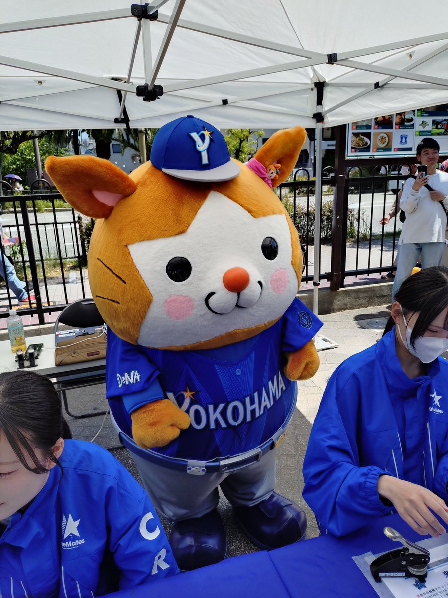 パンプット tweet media