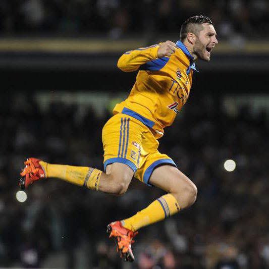 PPOS621's tweet photo. @TigresOficial @CEMEXMx ¿LA DESPEDIDA DE GIGNAC EN LIGA FUE ESTE PUTO RIDICULO? Te puedes ir pero a la VERGA pinche PIZARRO PENDEJO, PUTO TECNICO CULO Y AGACHON. https://t.co/wX8PFIxolF