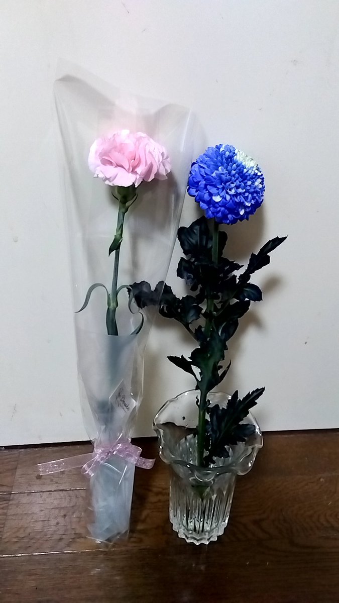 aQu1co's tweet photo. 母の日
亡き母へカーネーション
亡き相棒へ青い水で染まった菊

母の日や花瓶に寄り添へる二輪　明子 https://t.co/5CvjlyWRQA
