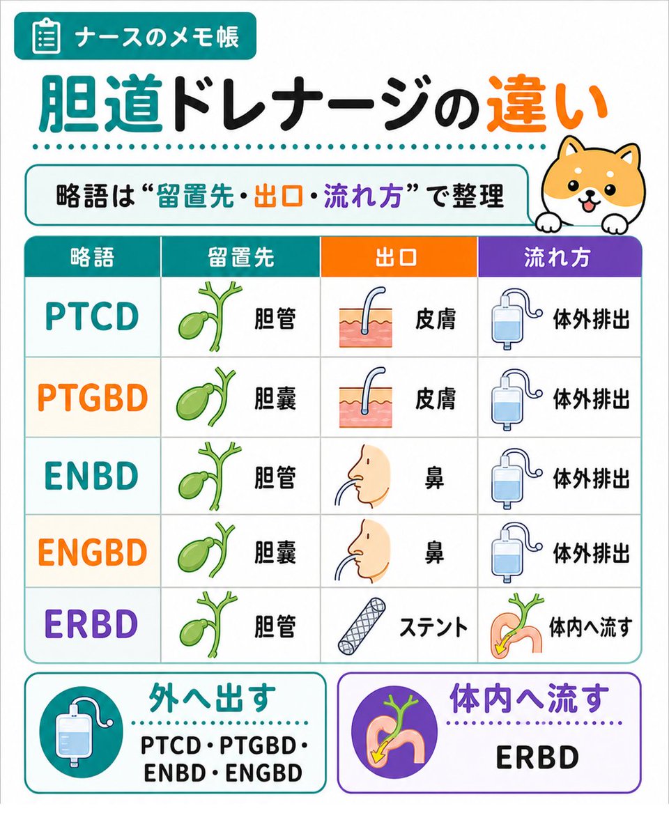 nurse84memo's tweet photo. 新人看護師向け4️⃣

胆道ドレナージの略語と違い🚰 https://t.co/3jzVdroC9L