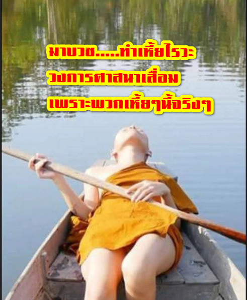 IamTHAI tweet media