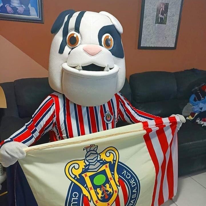 TonyyCFM's tweet photo. Todo Monterrey está con tus ustedes hermanos @Chivas 💪🏻💪🏻 https://t.co/9gcscQDf8e