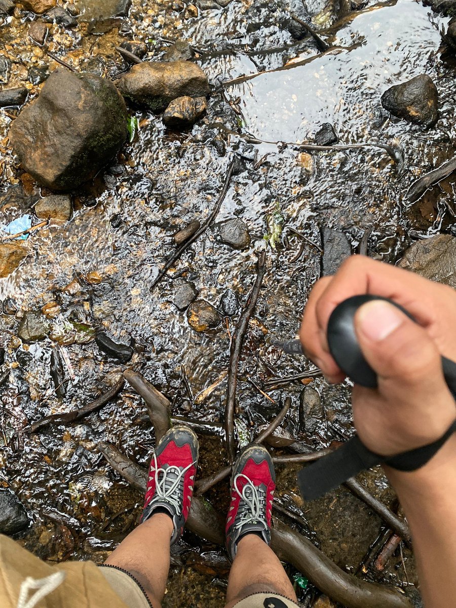 devilg00d's tweet photo. Mt. Pangrango 3019 mdpl https://t.co/SUGpS07gtJ