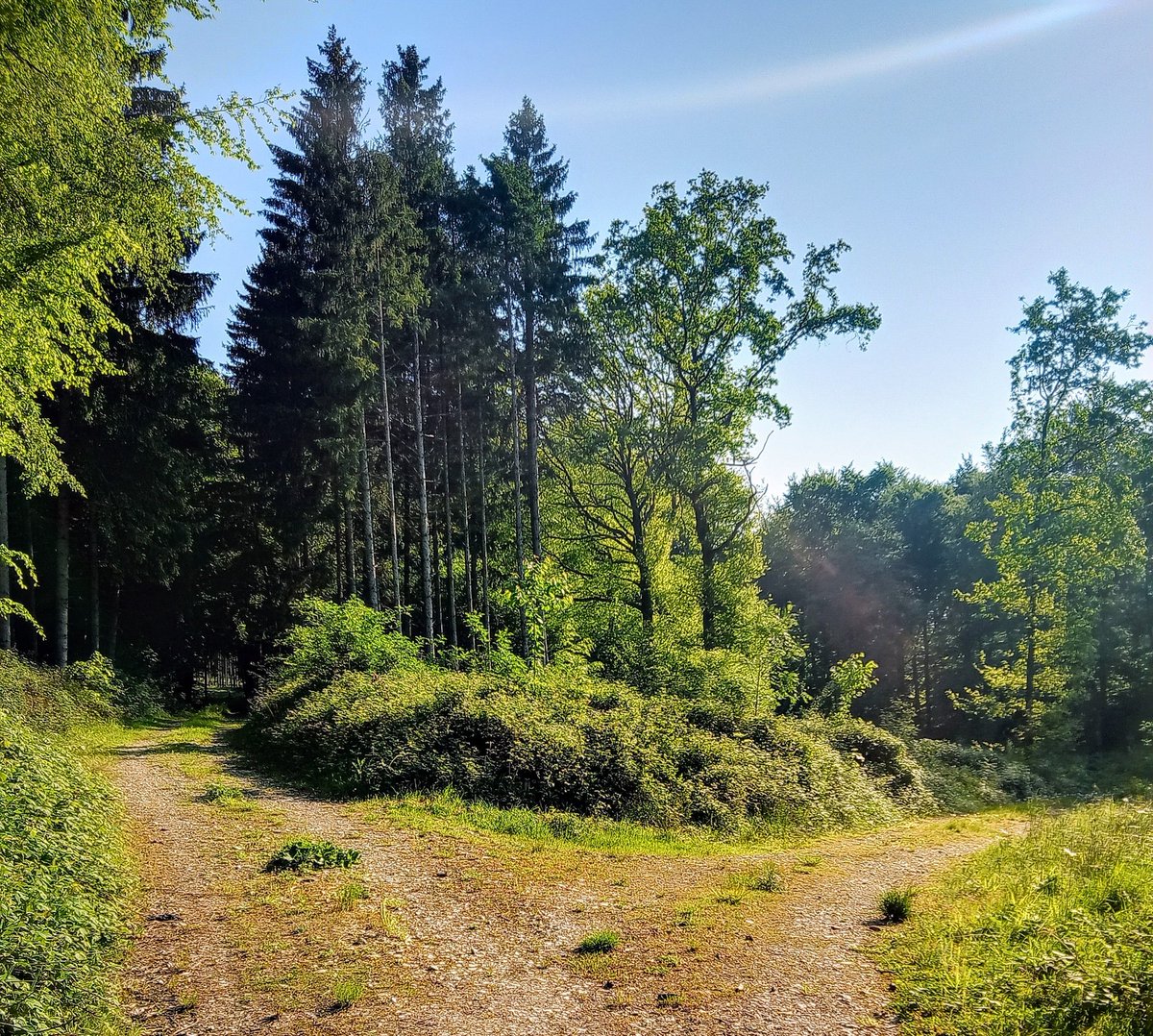 FragJa's tweet photo. Schönes Leben schöne Welt ☀️🏃 https://t.co/czCFasCCup