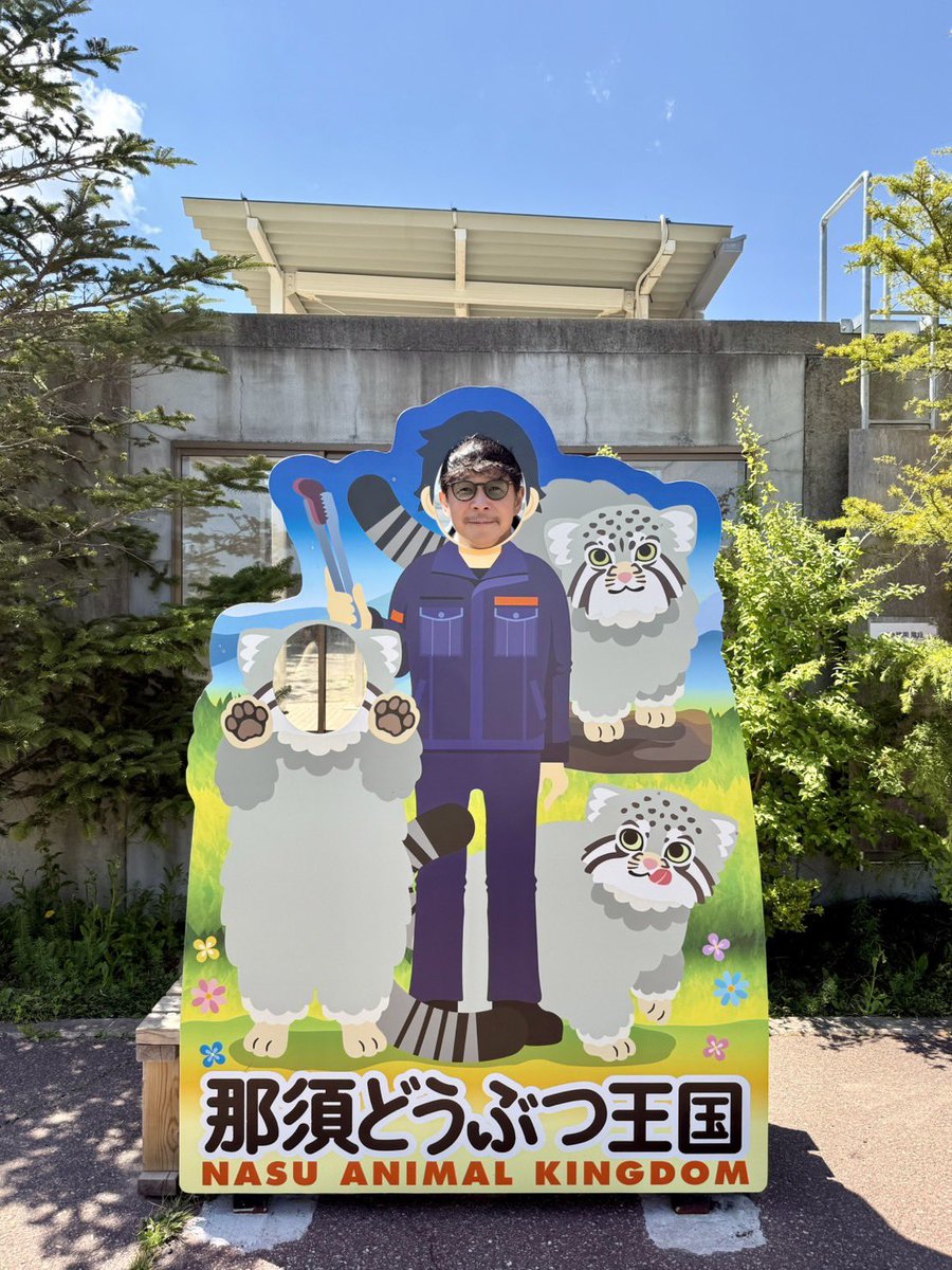 前澤友作 tweet media