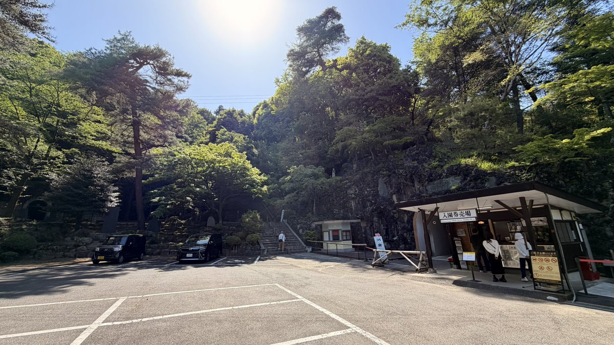 黄面 tweet media