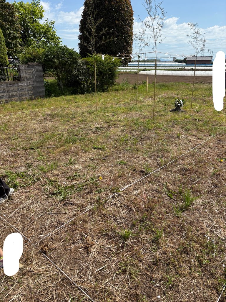 地鎮祭やった🤩