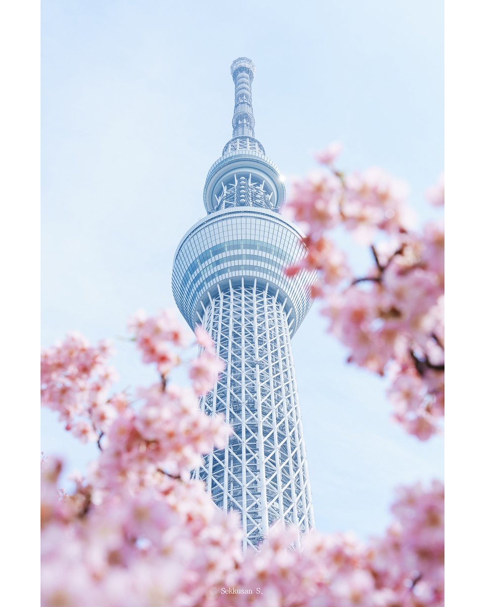 Seksan ・セックサン Photography tweet media