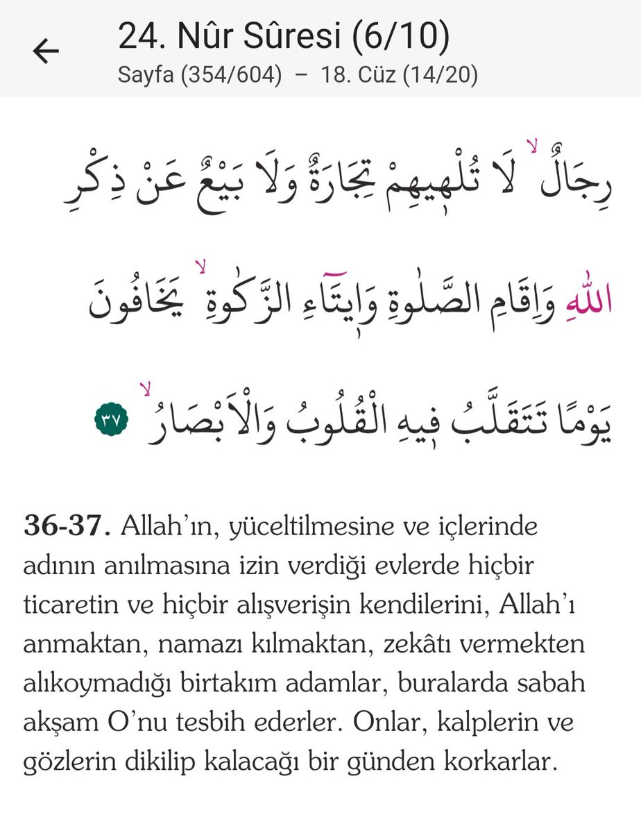 Bedirhan tweet media