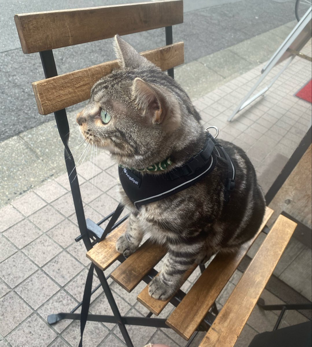 小森千沙 tweet media