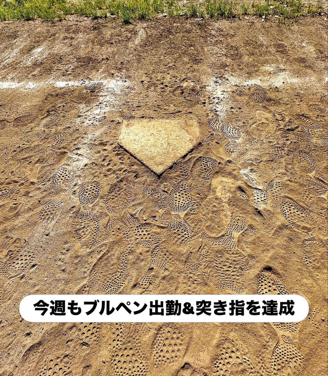 関 真也　Masaya Seki｜弁護士 tweet media
