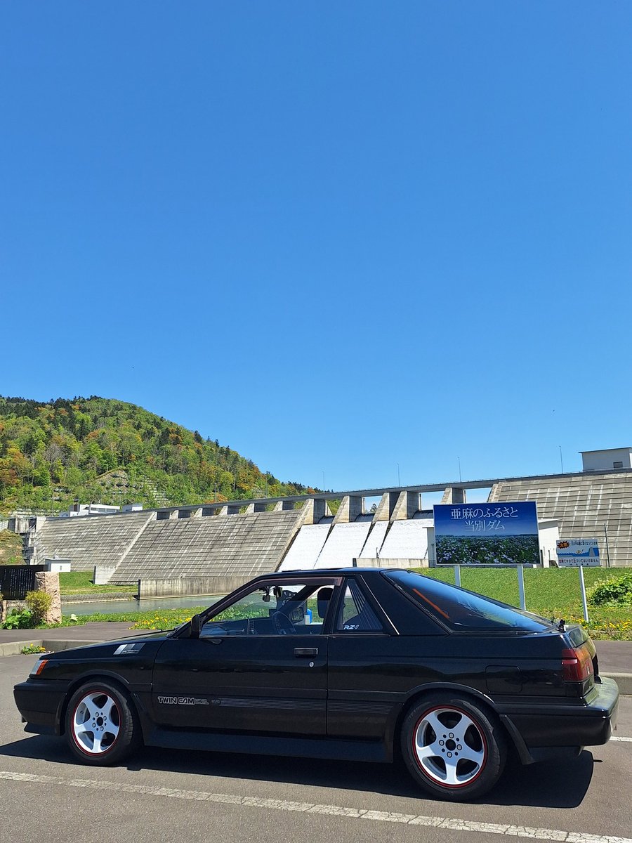 omi6300's tweet photo. お散歩終了
いい天気過ぎ https://t.co/pLJjYkYsRA