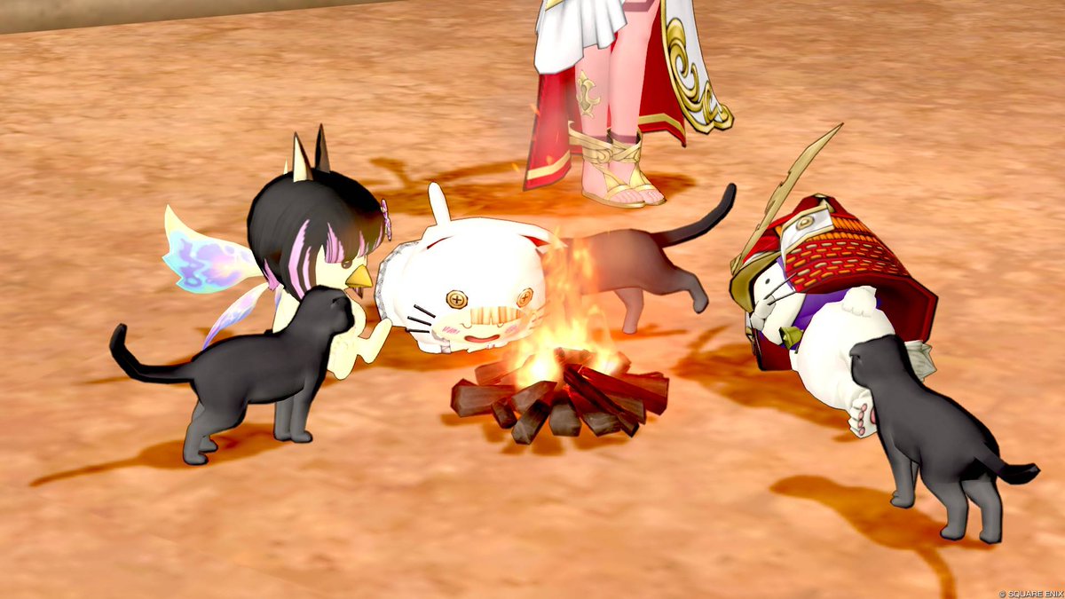 Post by Jade/Charlotte@DQX on X: にゃーん