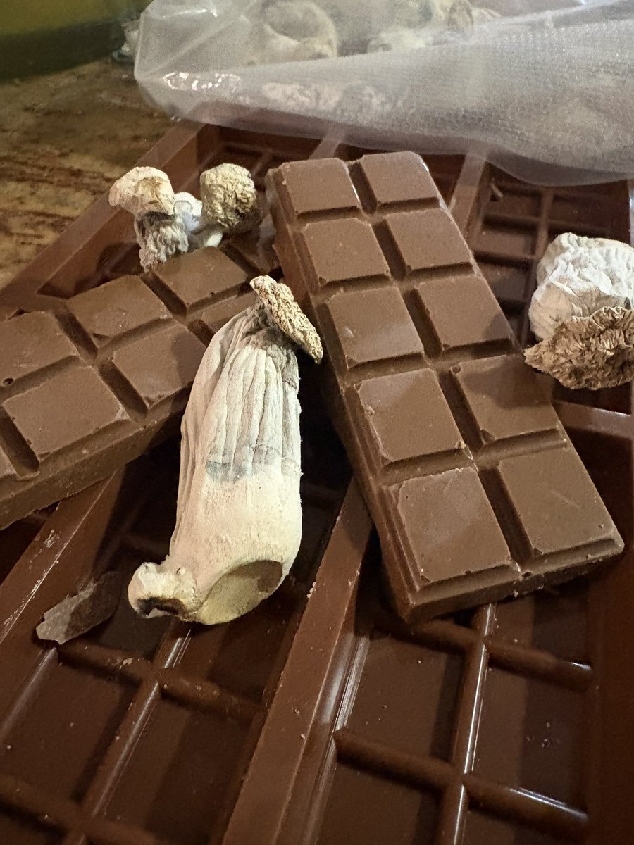 sweetpharynx's tweet photo. 🚩🚩 if you still getting synthetic shroom chocolate bars from dispensaries, https://t.co/cEP9j473hu