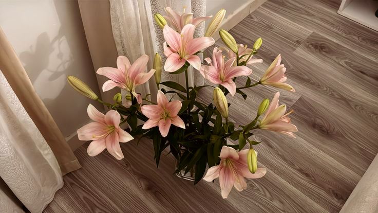 Flowers (@flowerslovers44) on Twitter photo 