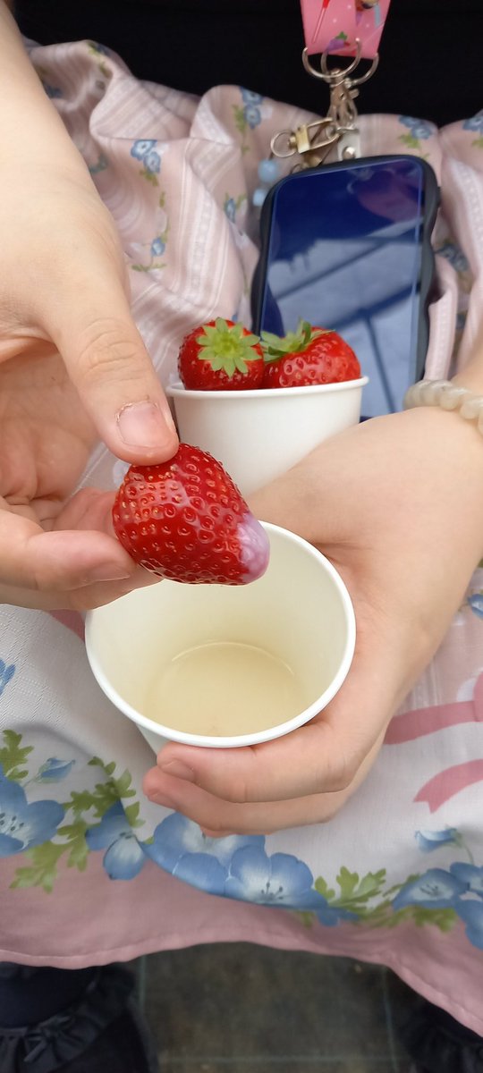Prelude2070's tweet photo. 連休明けに佐野アグリタウンさんへいちご狩りに行ってきました！🍓
時間制限なしのとちあいか、スカイベリー、とちおとめの3品種食べ放題です。
たくさんハウスがある中お客さんは私達二人だけの貸し切り状態で楽しめました！😊

また来シーズンも行きましょうね！！ https://t.co/ipWOBdDxcn