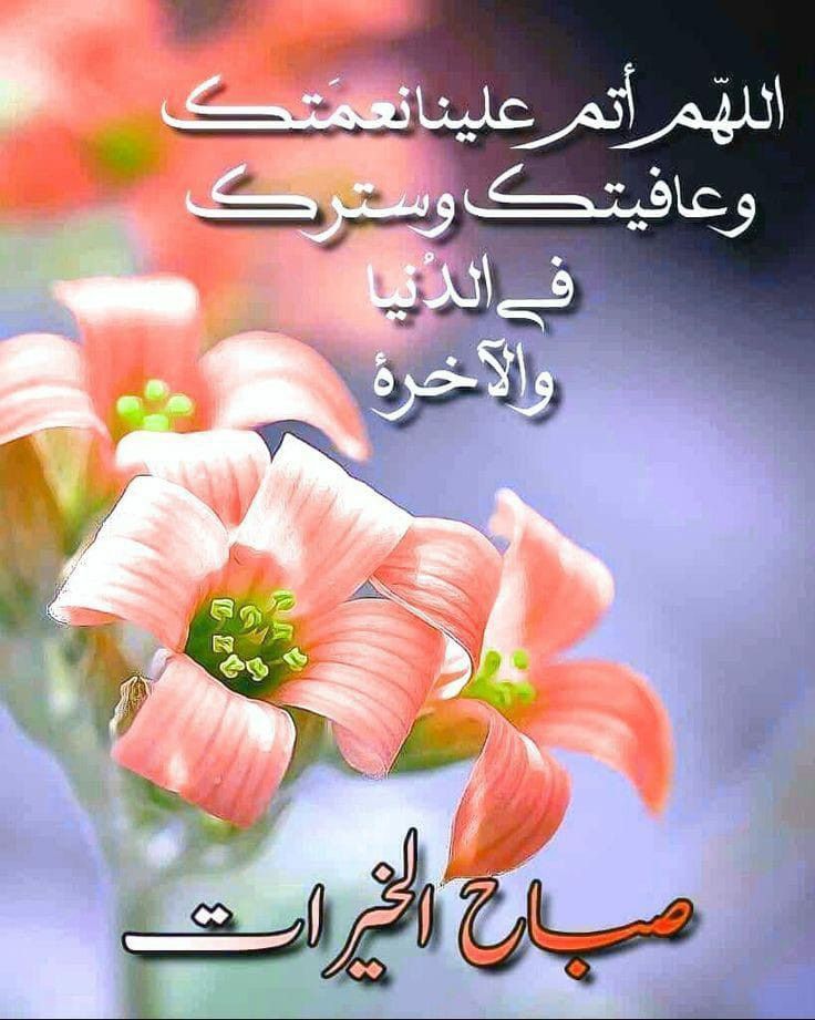 ADfytre's tweet photo. #صباح_الخير_والسعادة 
#صباح_الأشياء_المُشرقة https://t.co/aHDFIARiVy