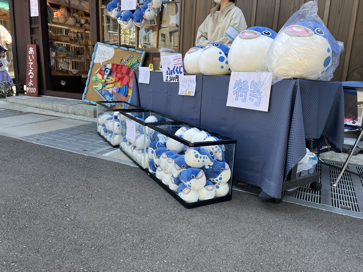 おばま水族館 tweet media