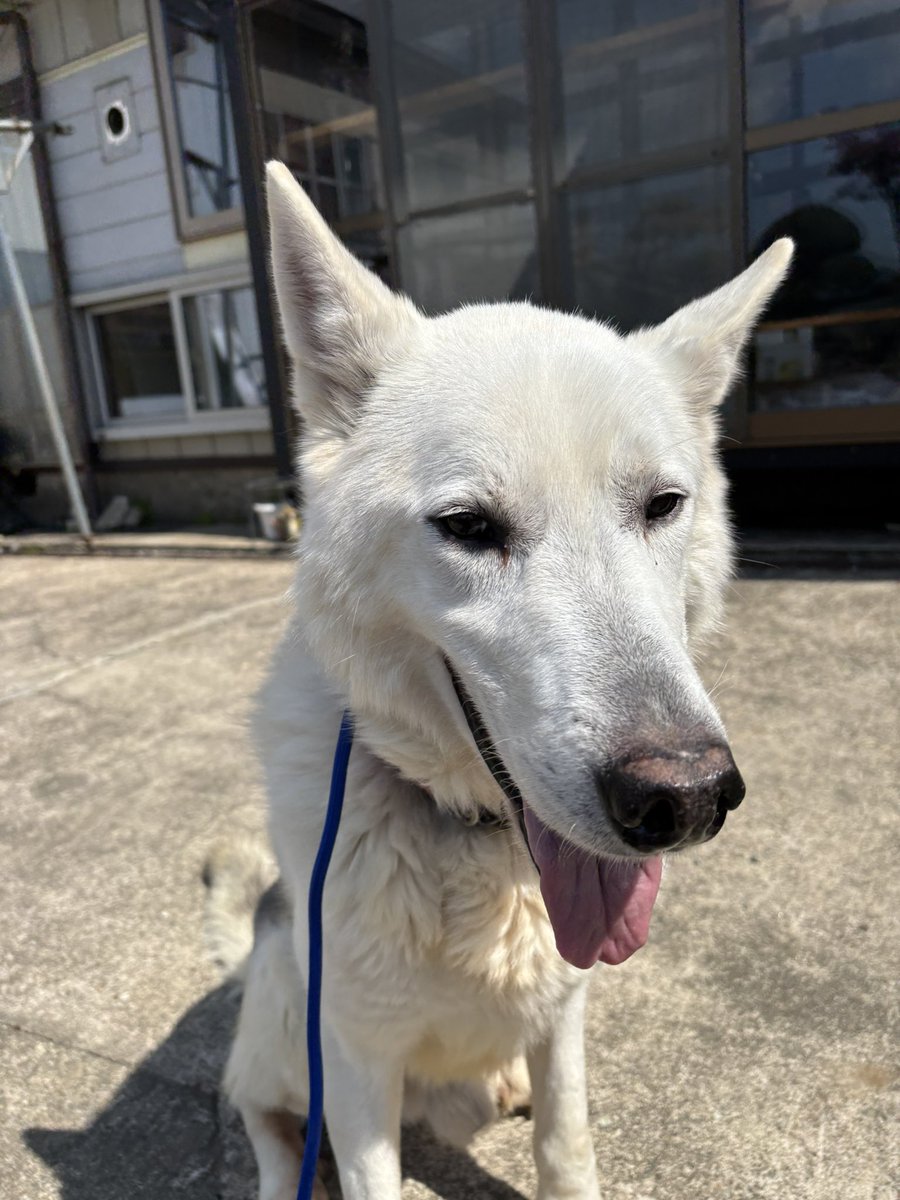 ヒロ マサミ tweet media