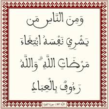 Hamed Fallatah حامد فلاته tweet media