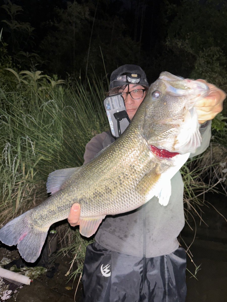 みぃ君 -fishing channel- tweet media