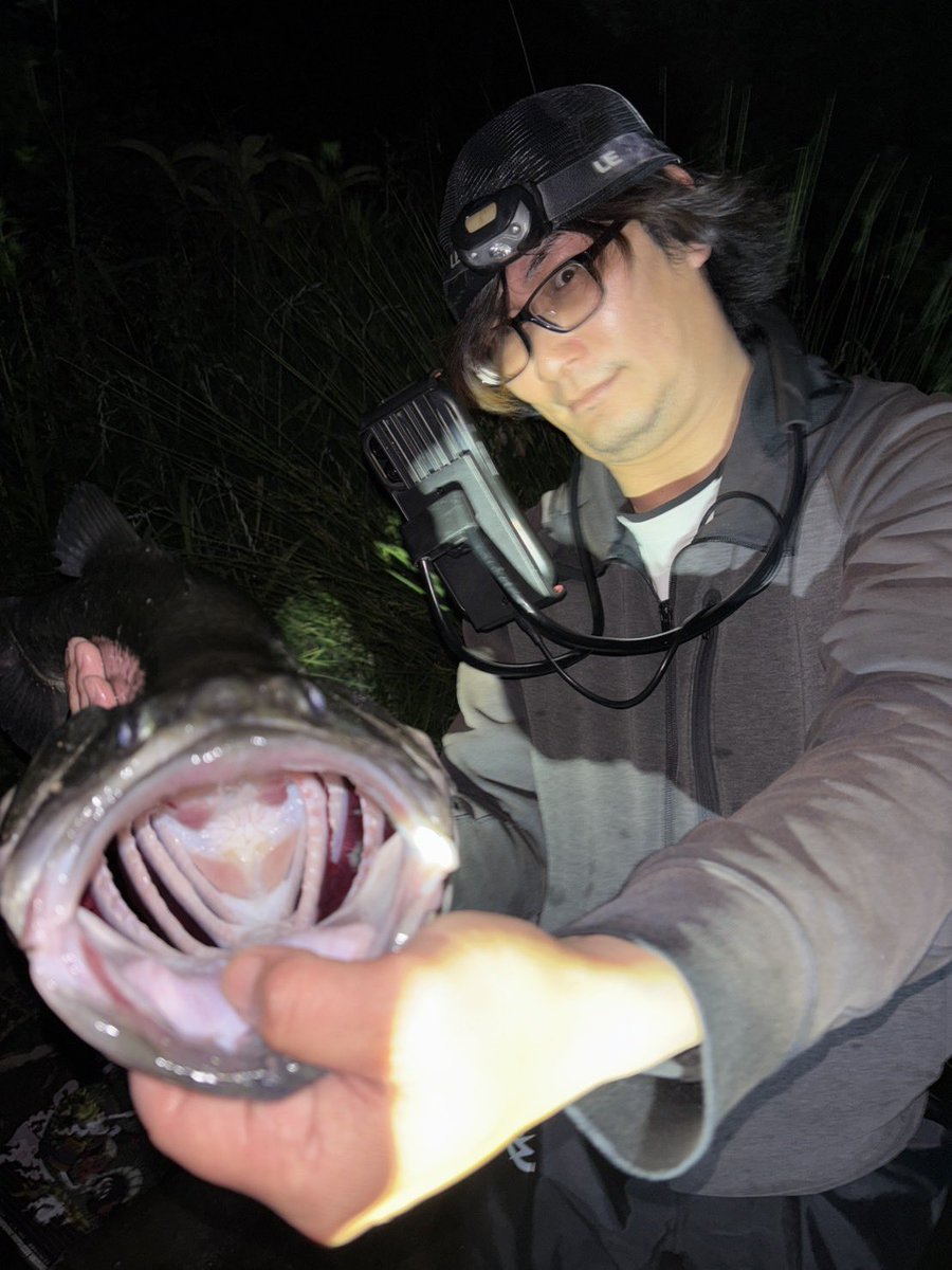 みぃ君 -fishing channel- tweet media