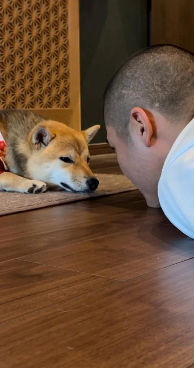 AntInfluence's tweet photo. If IP tokens get you excited then.

solana:GQz5ThKHNcuAvMKA8rCPSdoFUoApk9Fi8qB9m3Gqpump Chan is right up your alley.

Can't be PVP'd and the most wholesome crypto there is.

A Shiba Inu and her owner @kantaro0925 have over 2 million followers across his social media.

He's also friends with $DOGE owner kabosumama.