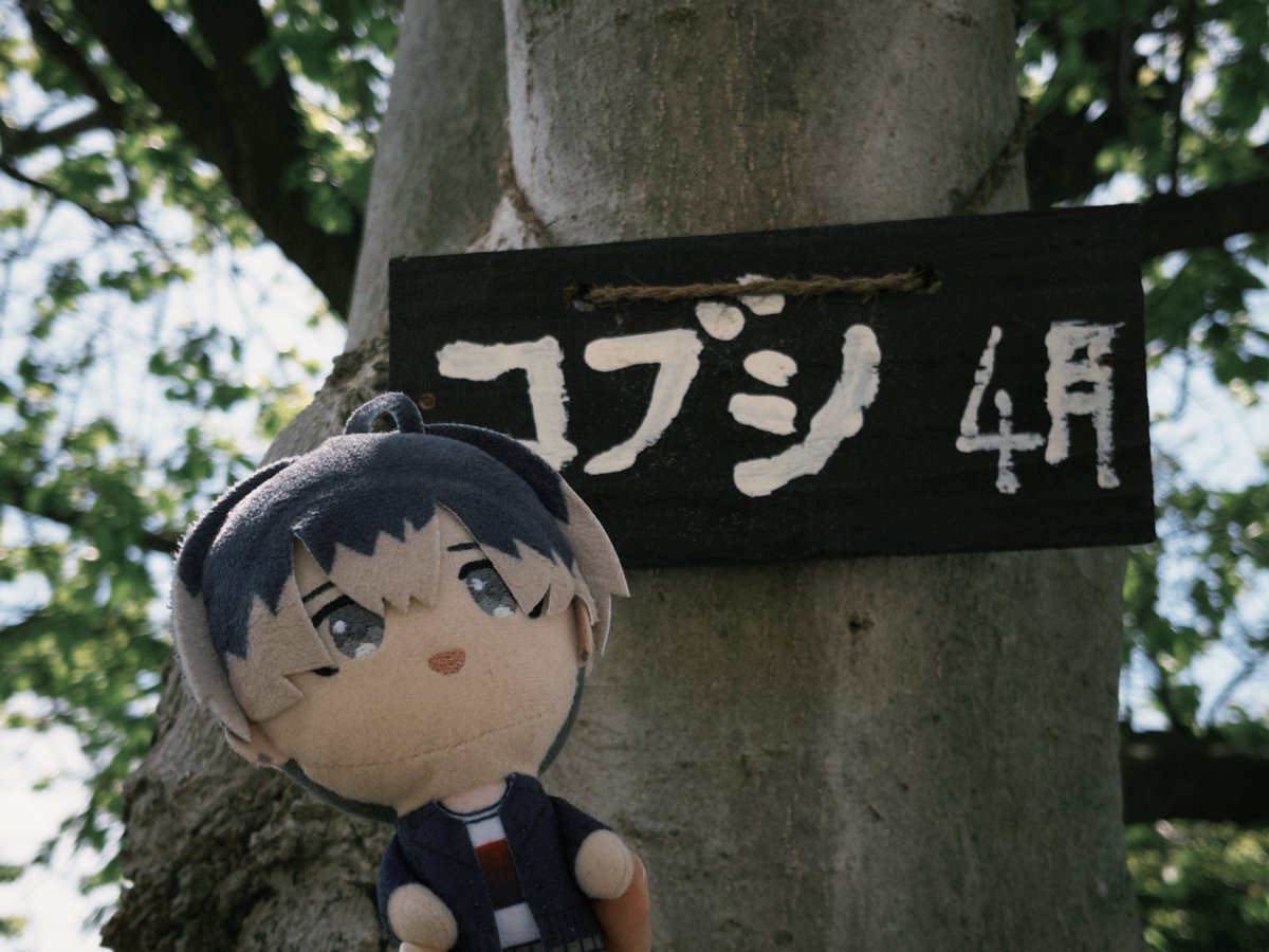 ミコぬい tweet media