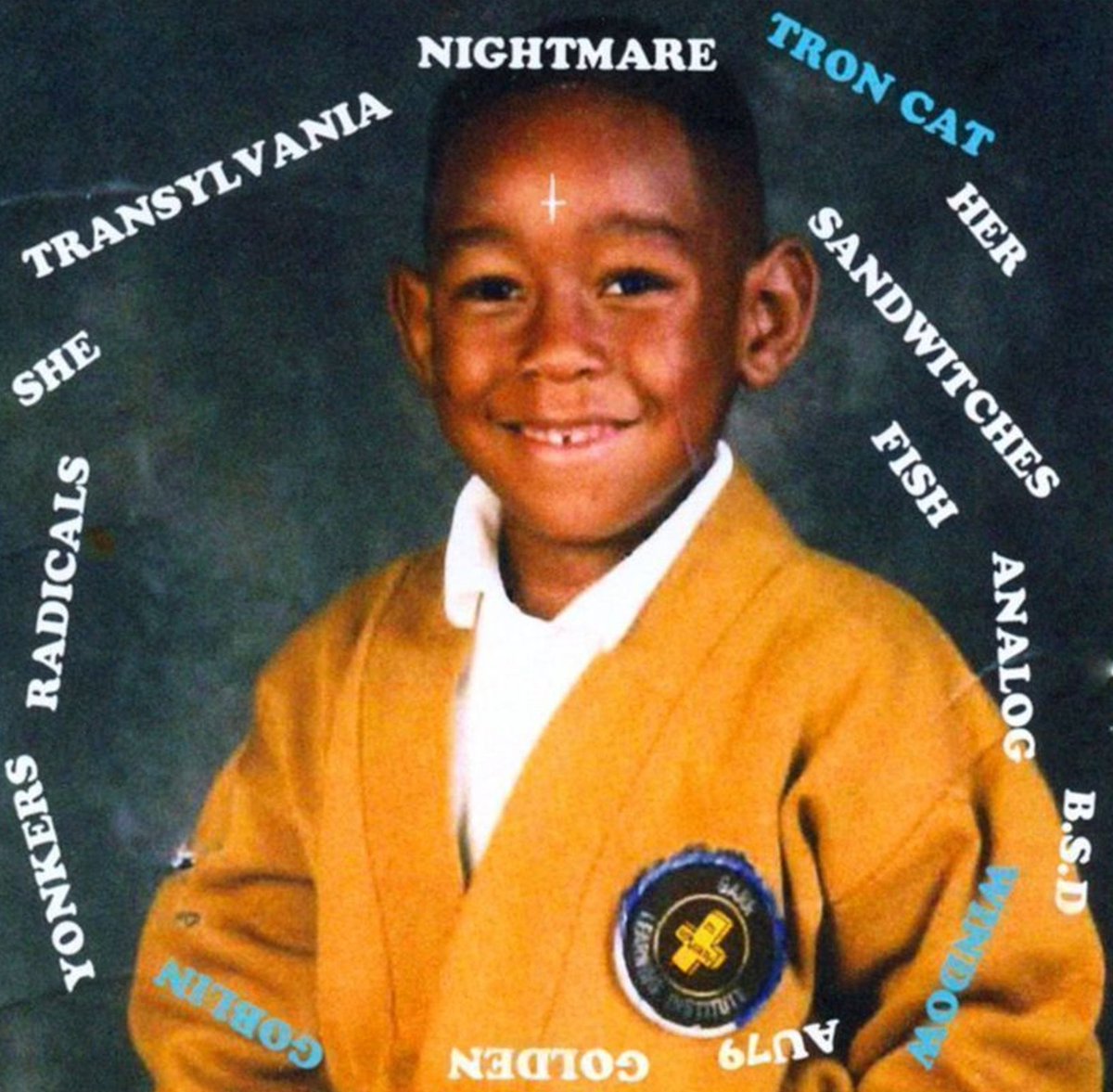 15 years ago today, Tyler, The Creator dropped 'GOBLIN' 💿

Favorite tracks on the project?