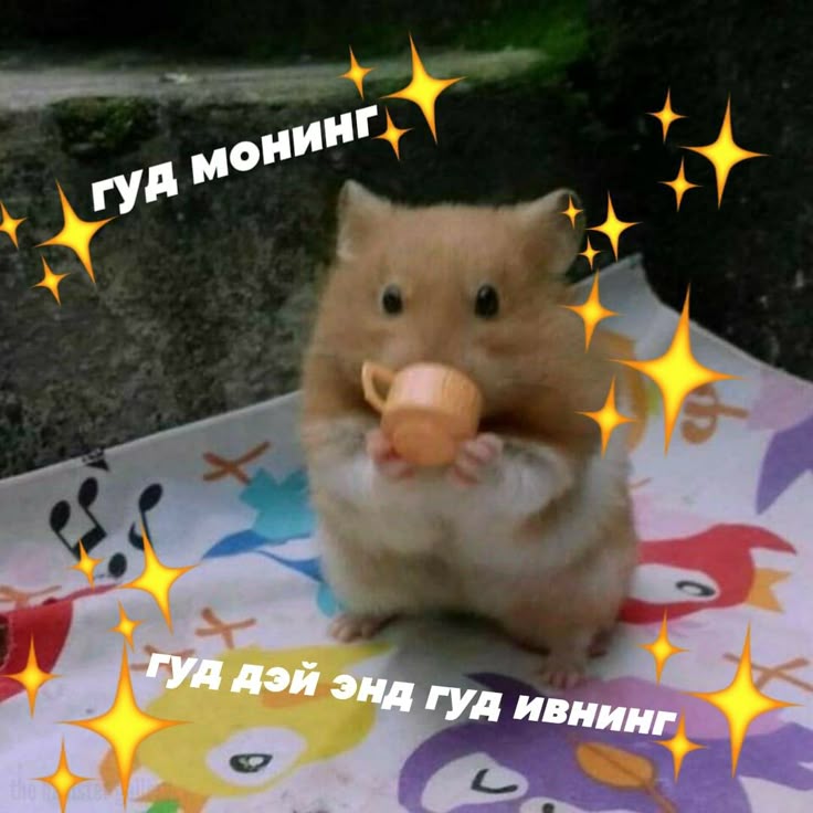 Вы не поверите 
Я наконец-то выспалась 🎉✨❤️